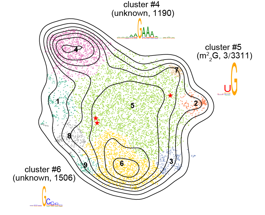 _images/RNA_seq_var_G.png